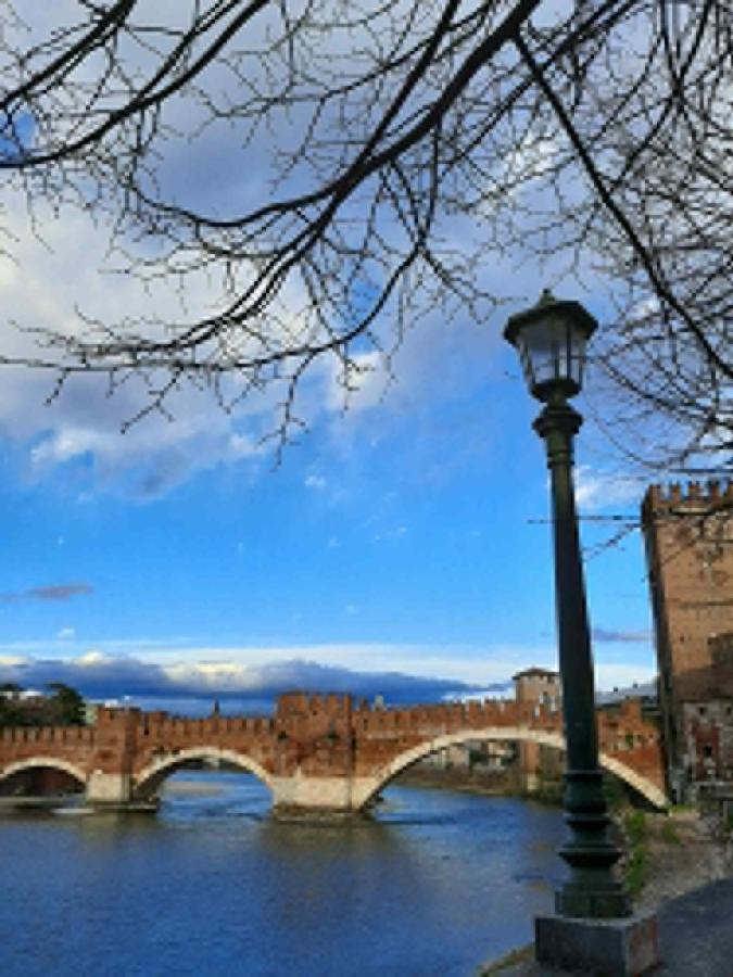 Villa Sul Lago Con Pontile Privato A Brenzone Sul Garda - Unique And Exclusive المظهر الخارجي الصورة